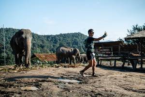 BIB: 
                            <button type="button" onclick="openModal(22423625)" class="btn btn-primary btn-sm float-right btn-popup" data-toggle="modal" data-target=".modal-high-quality">
                        <i class="fas fa-shopping-cart"></i> Add to Cart
                    </button>
                                            <button type="button" onclick="isThisMe(22423625, true)" class="btn btn-success btn-sm float-right btn-popup btn-isme hidden" data-toggle="tooltip" data-placement="bottom" title="นี่คือรูปของคุณใช่ไหม คลิกที่นี่เพื่อเอาเข้าอัลบั้ม">
                        <i class="fas fa-plus"></i> Add to album
                    </button>
                    <button type="button" onclick="isThisMe(22423625, false)" class="btn btn-warning btn-sm float-right btn-popup btn-isnotme hidden">
                        <i class="fas fa-ban"></i> Remove from album
                    </button>